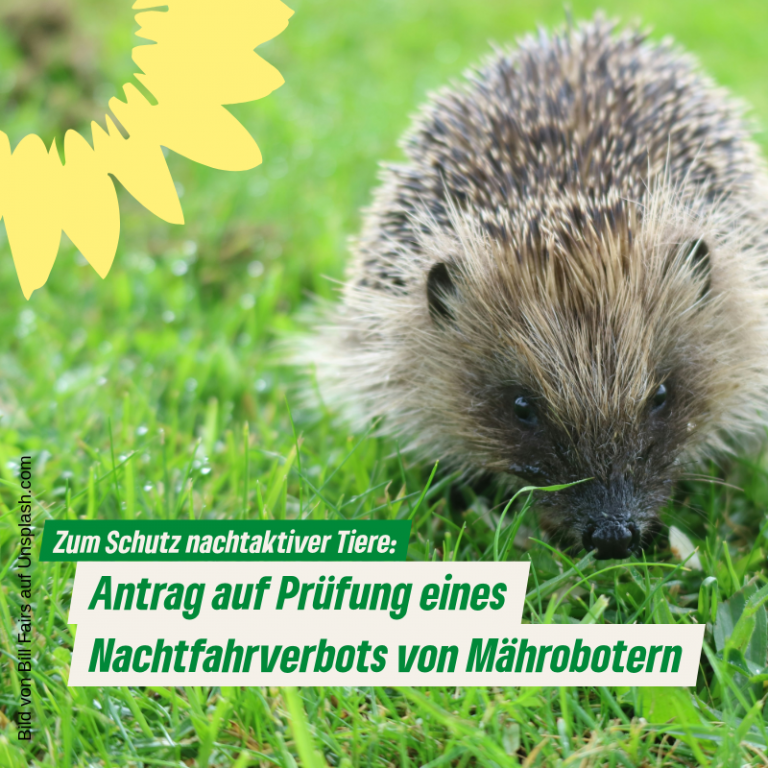 Prüfung eines Verbots der nächtlichen Inbetriebnahme von Mährobotern im Bereich der Stadt Viersen zum Schutz von Igeln und anderen kleinen Wirbeltieren
