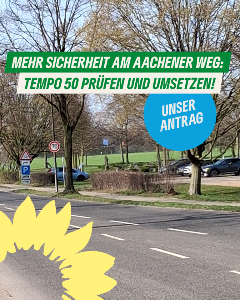 Antrag auf Prüfung und Umsetzung einer zulässigen Höchstgeschwindigkeit von 50 km/h auf dem Aachener Weg zwischen Dülkener Straße und Schirick
